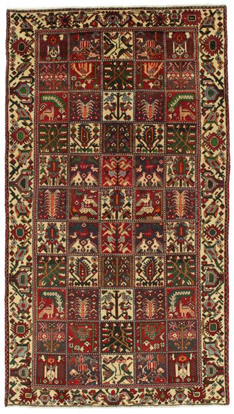 Bakhtiari Persian Rug 275x153