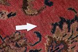 Lilian - Sarouk Persian Rug 313x207 - Picture 17
