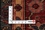 Songhor - Koliai Persian Rug 342x160 - Picture 4