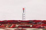 Bijar - Kurdi Persian Rug 287x167 - Picture 8